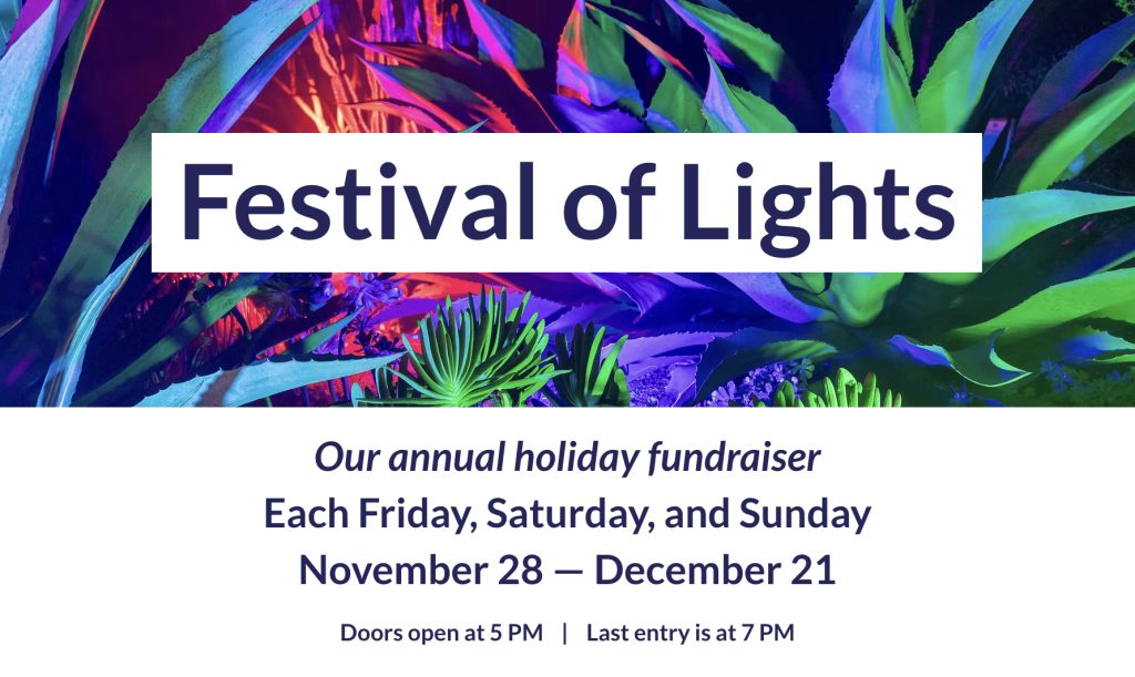 Mendocino Coast Botanical Gardens Festival of Lights 2025 flyer