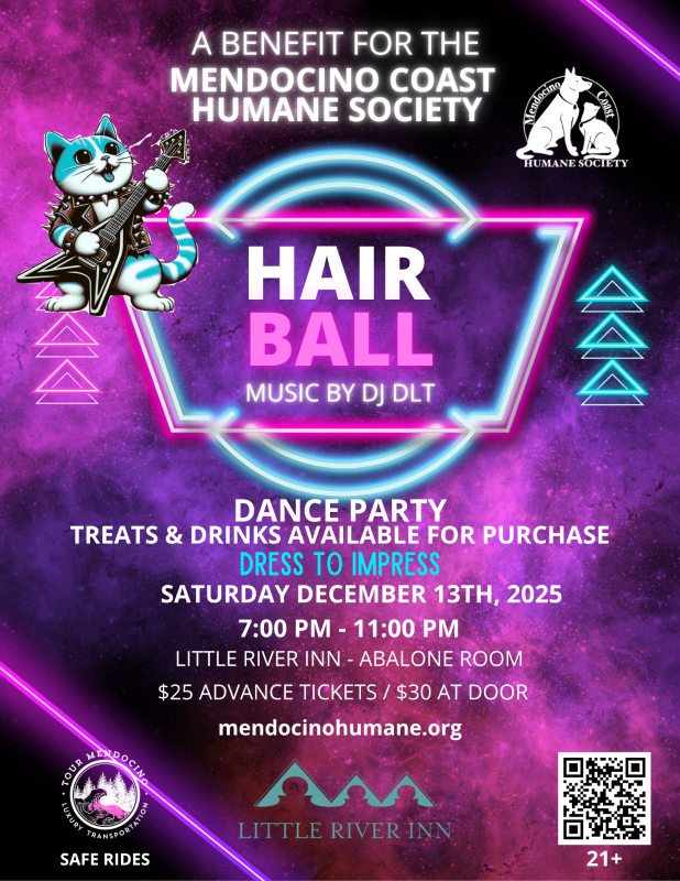 Hairball, Dec 13, 2025 flyer