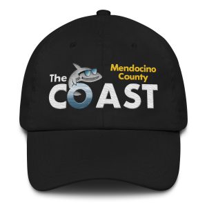 classic dad hat in black photo